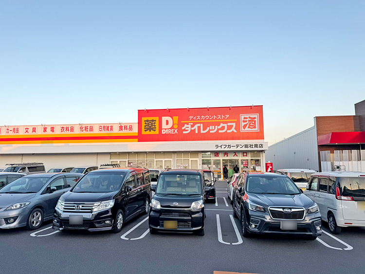 ダイレックス ライフガーデン総社南店