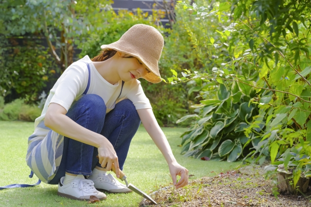 おすすめポイント