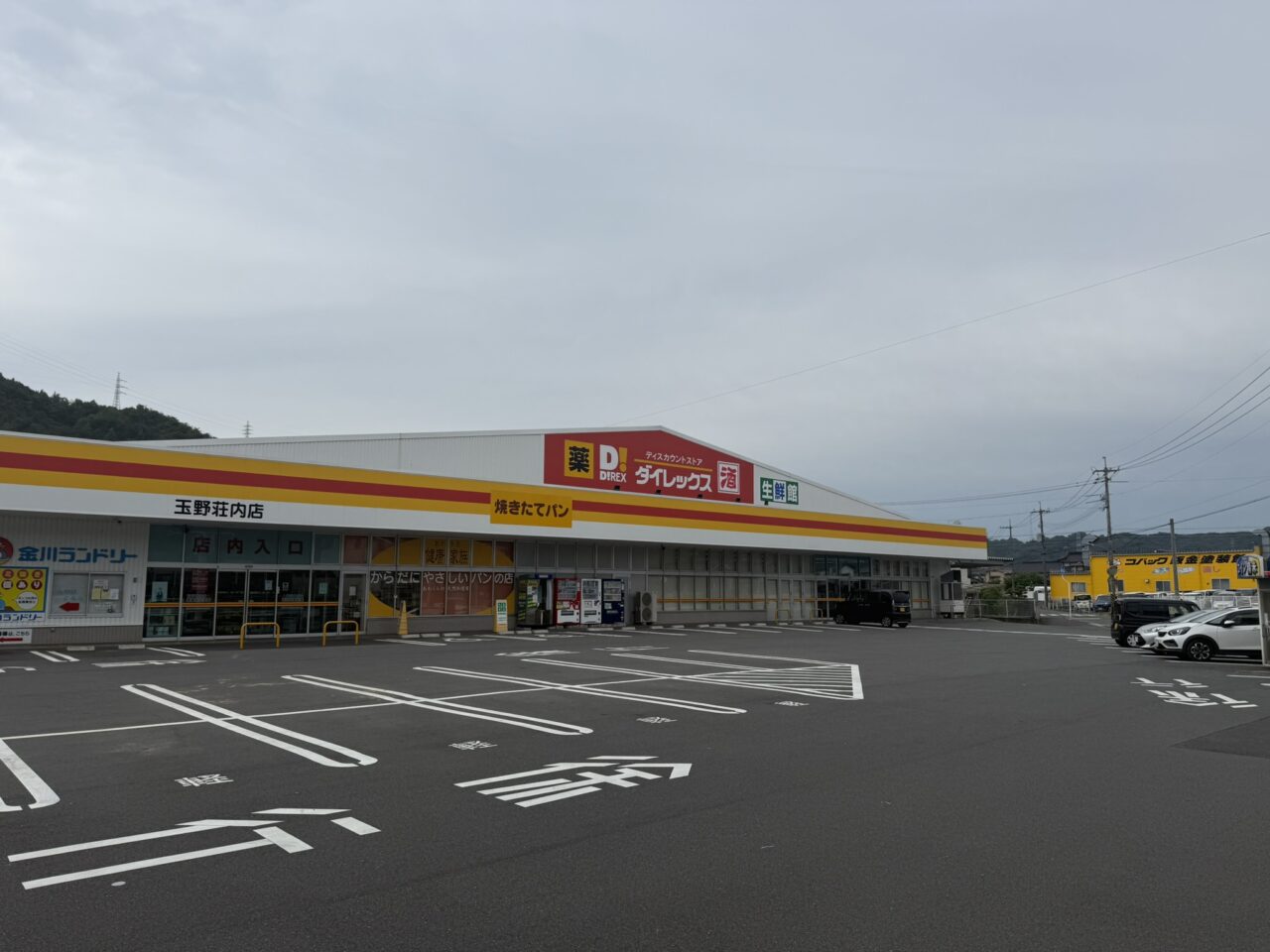 ダイレックス 玉野荘内店 