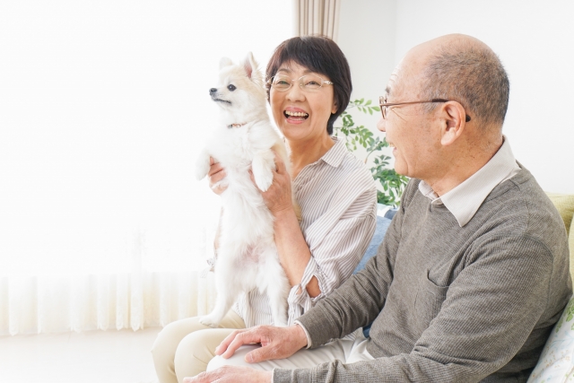 おすすめポイント