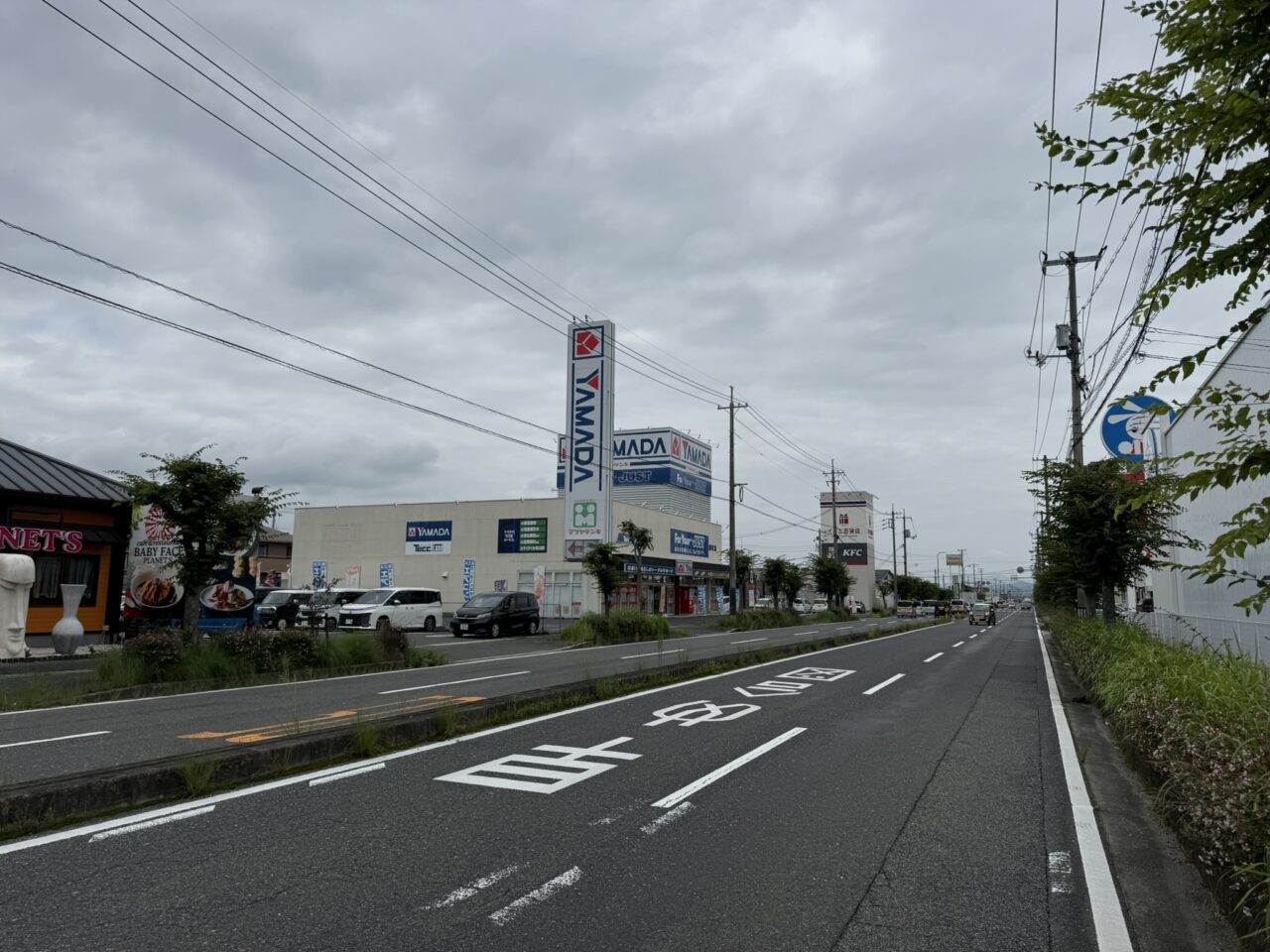 ヤマダデンキ テックランド総社店